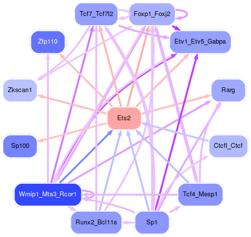 PNG image of the network