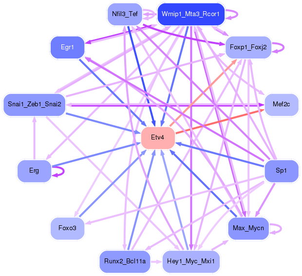 PNG image of the network