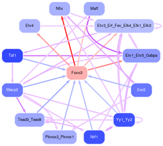 PNG image of the network