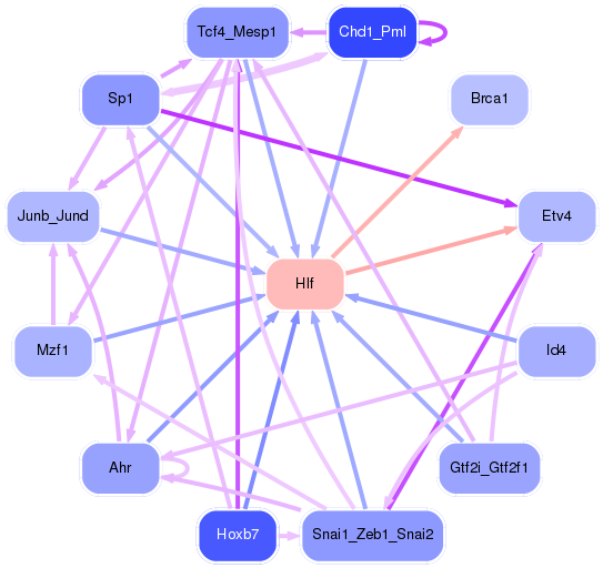 PNG image of the network