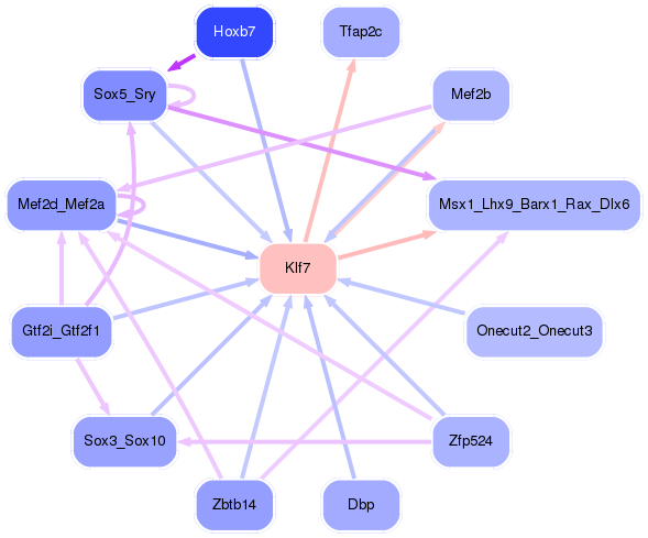 PNG image of the network