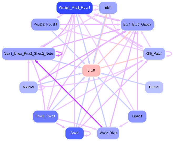 PNG image of the network