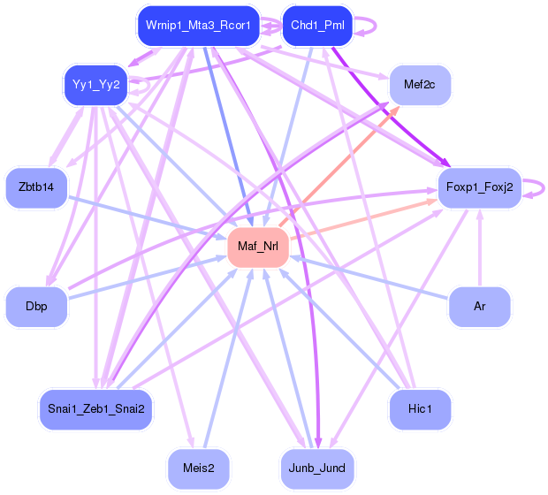 PNG image of the network
