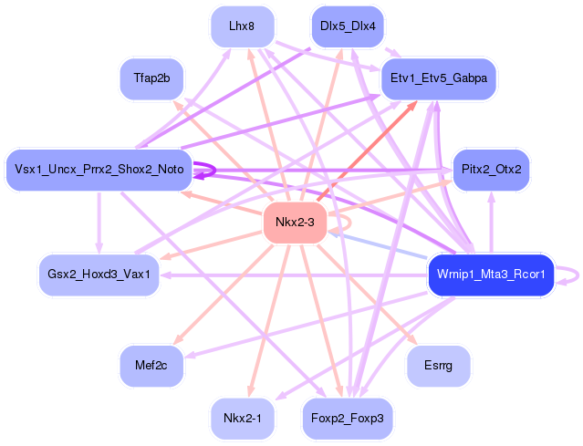 PNG image of the network