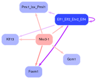 PNG image of the network