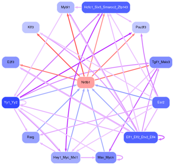 PNG image of the network