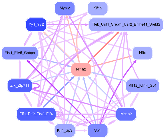 PNG image of the network
