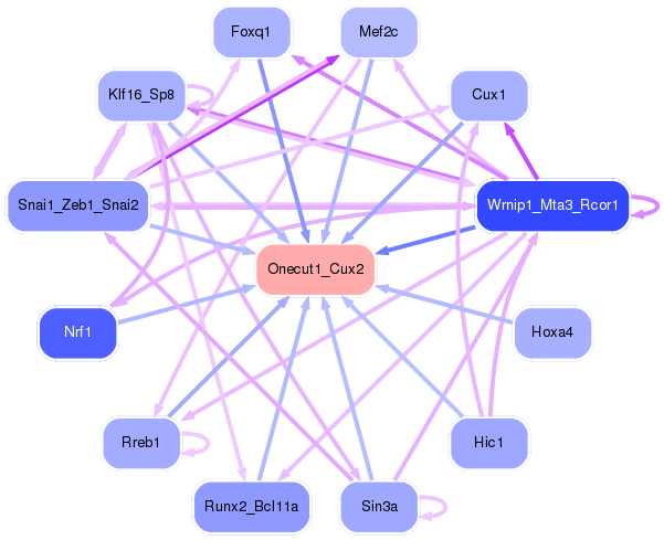PNG image of the network