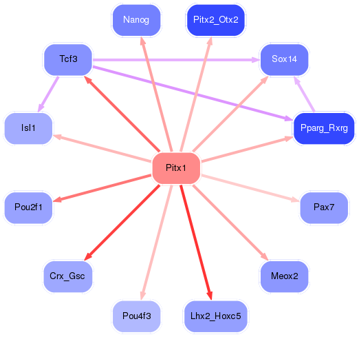 PNG image of the network