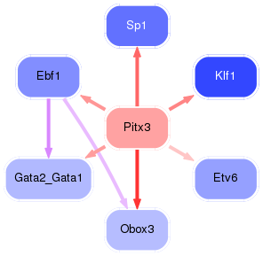 PNG image of the network