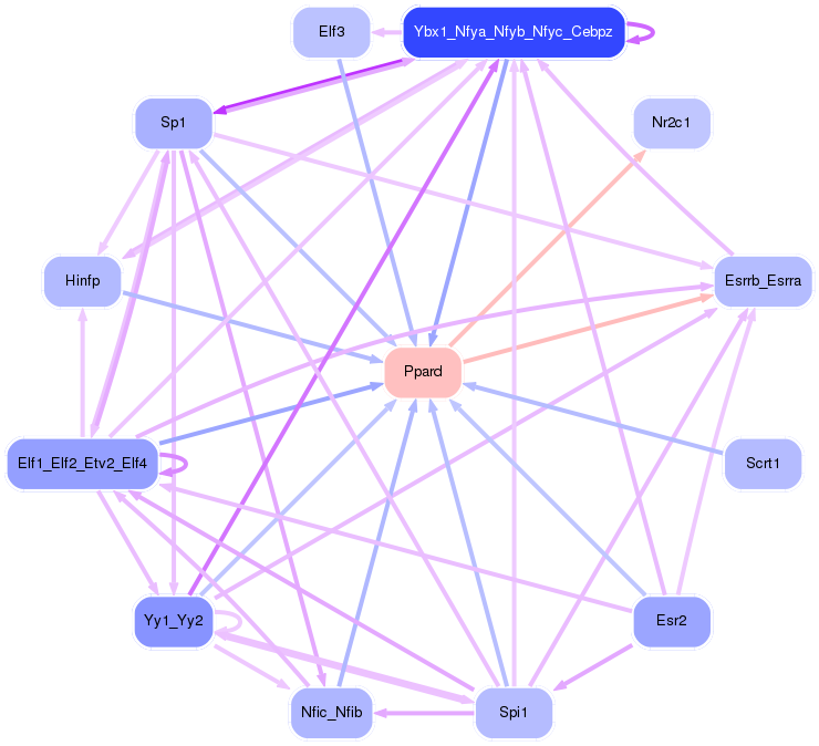 PNG image of the network