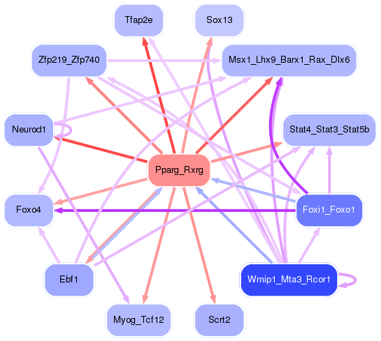 PNG image of the network