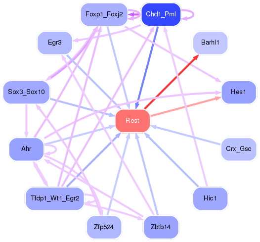 PNG image of the network