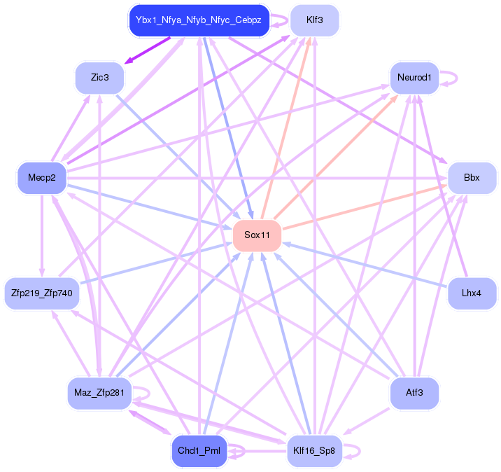 PNG image of the network