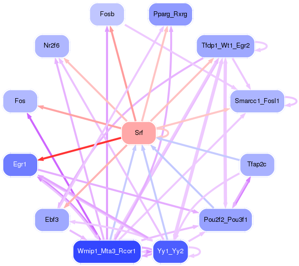 PNG image of the network