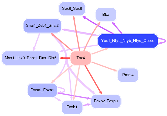 PNG image of the network