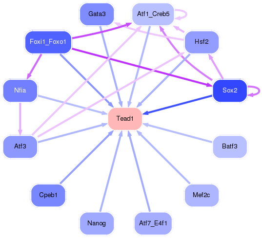 PNG image of the network