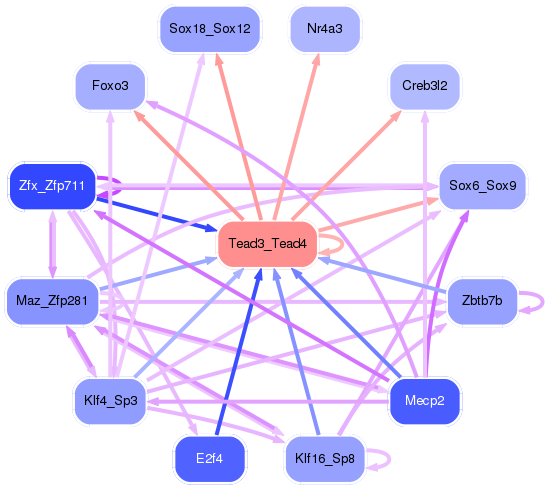 PNG image of the network