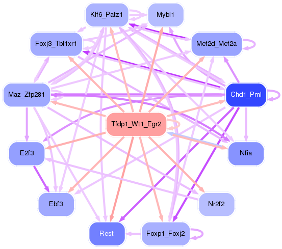 PNG image of the network