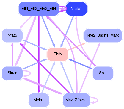 PNG image of the network
