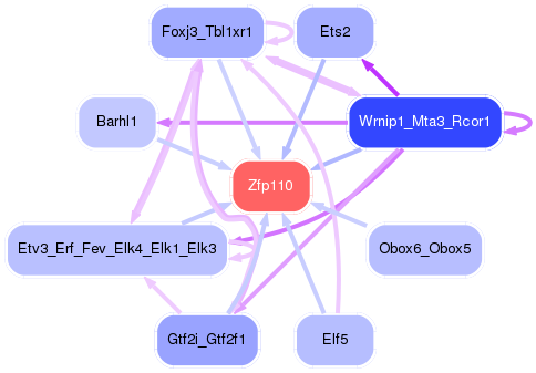 PNG image of the network