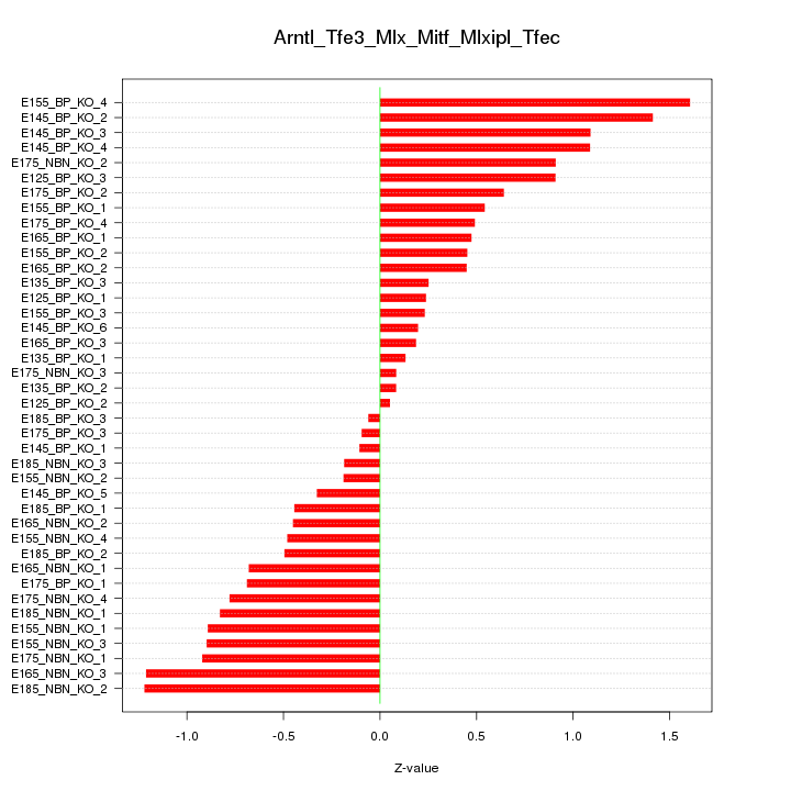 Sorted Z-values for motif Arntl_Tfe3_Mlx_Mitf_Mlxipl_Tfec