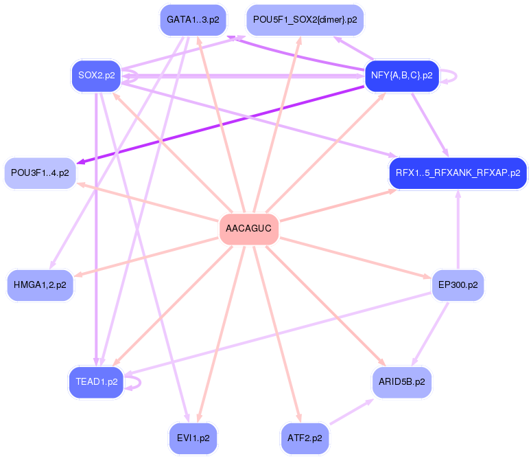 PNG image of the network
