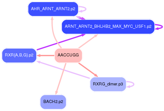 PNG image of the network