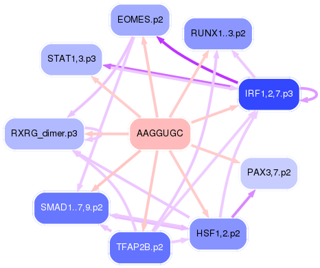 PNG image of the network