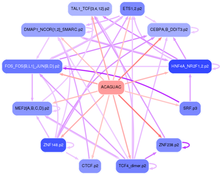 PNG image of the network