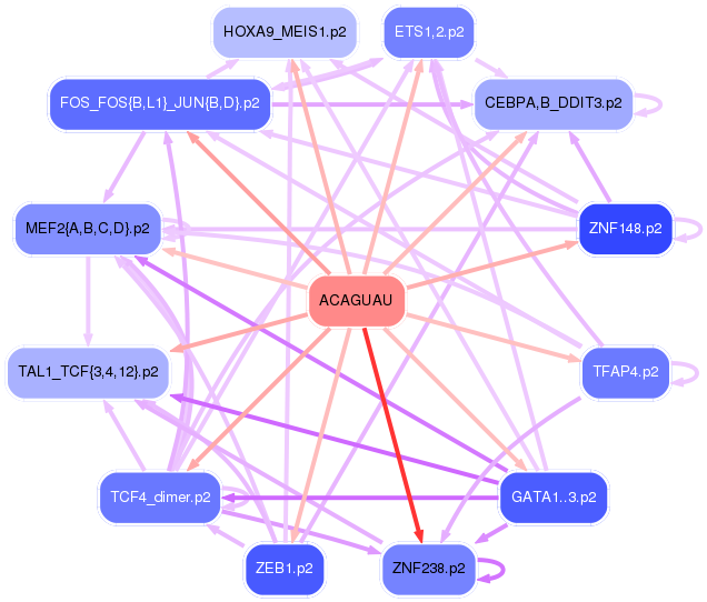 PNG image of the network