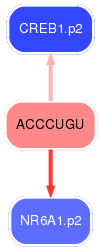 PNG image of the network