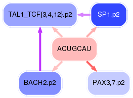 PNG image of the network