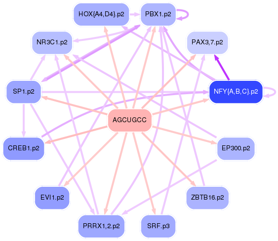 PNG image of the network