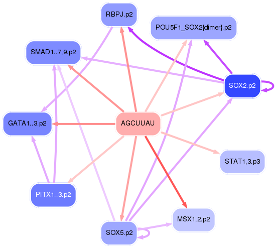 PNG image of the network