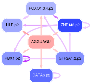PNG image of the network