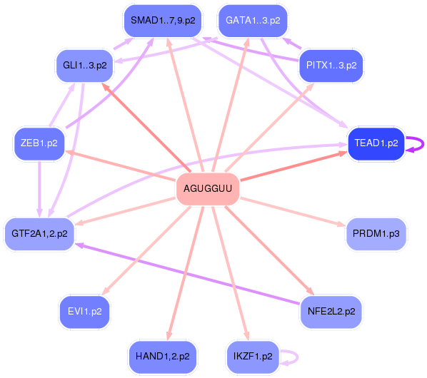 PNG image of the network