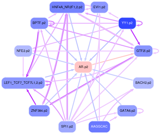 PNG image of the network