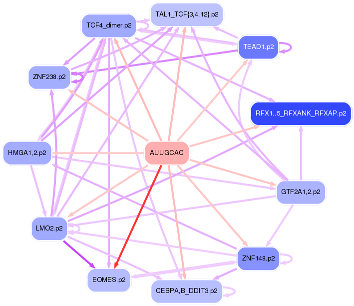 PNG image of the network