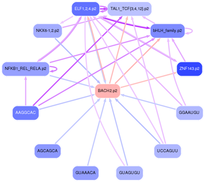 PNG image of the network