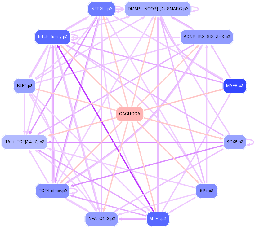 PNG image of the network