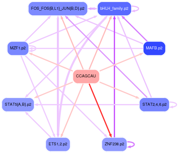 PNG image of the network