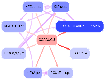 PNG image of the network
