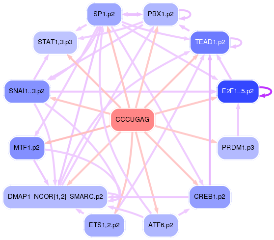 PNG image of the network
