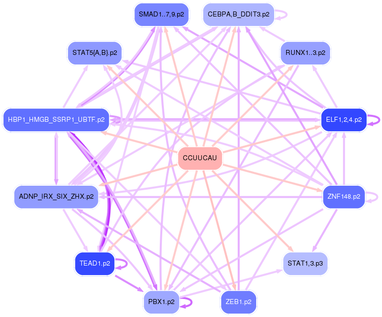 PNG image of the network