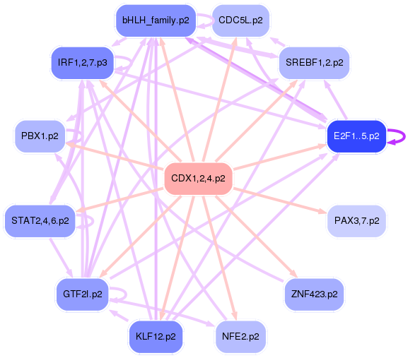 PNG image of the network