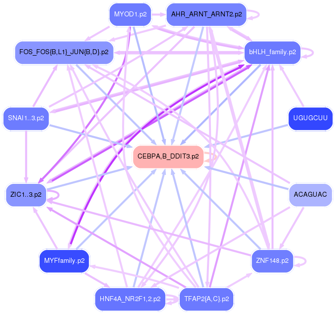 PNG image of the network