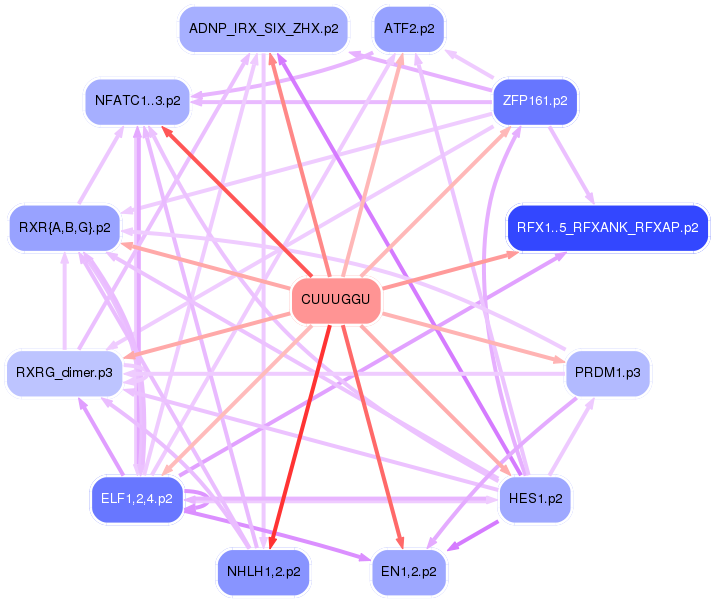 PNG image of the network