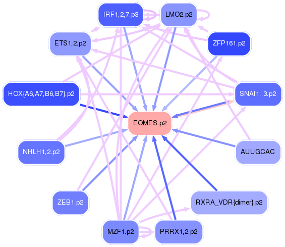 PNG image of the network