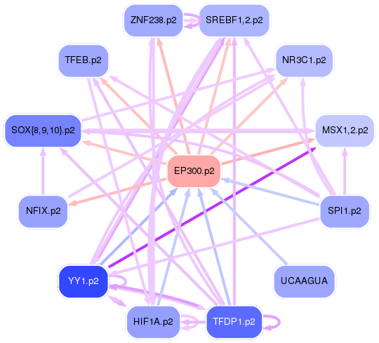 PNG image of the network